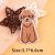 Teddy dog