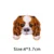 king charles spaniel