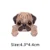 Pug