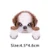 Shih Tzu-366