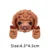 Teddy dog