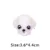 Maltese dog